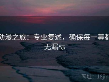 动漫之旅：专业复述，确保每一幕都无漏标