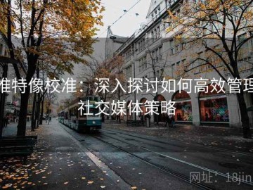推特像校准：深入探讨如何高效管理社交媒体策略