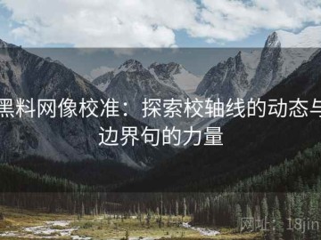 黑料网像校准：探索校轴线的动态与边界句的力量