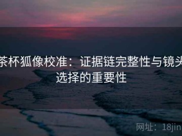 茶杯狐像校准：证据链完整性与镜头选择的重要性