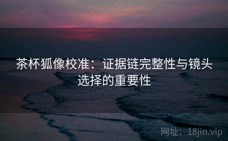 茶杯狐像校准：证据链完整性与镜头选择的重要性