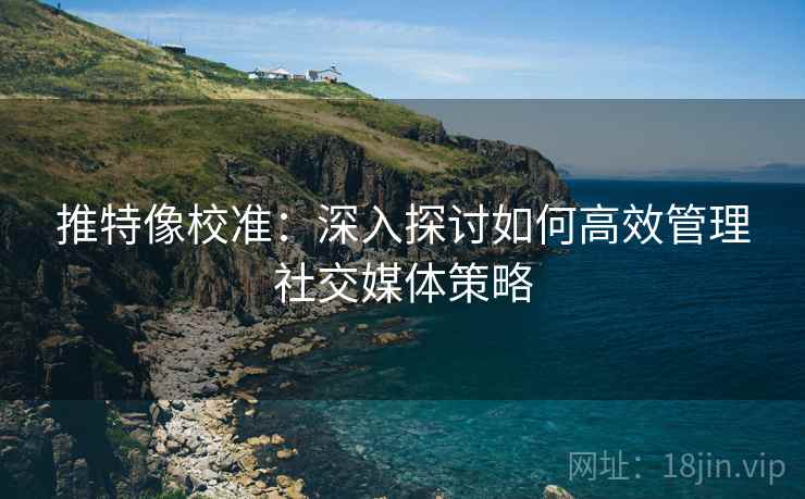 推特像校准：深入探讨如何高效管理社交媒体策略